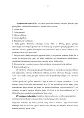 Karjeros planas ir planavimas 11 puslapis
