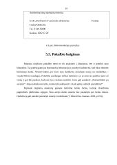 Karjeros planas ir planavimas 19 puslapis