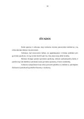 Karjeros planas ir planavimas 20 puslapis