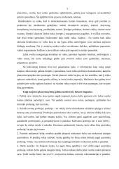 Karjeros planas ir planavimas 5 puslapis