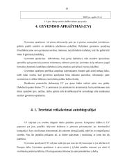 Karjeros planas ir planavimas 10 puslapis