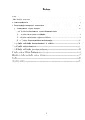 Karšto vandens tiekimas Šiaulių mieste 2 puslapis