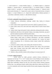 Karšto vandens tiekimas Šiaulių mieste 12 puslapis