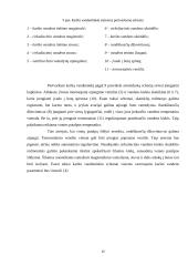 Karšto vandens tiekimas Šiaulių mieste 15 puslapis