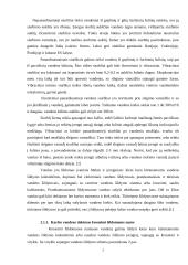 Karšto vandens tiekimas Šiaulių mieste 7 puslapis