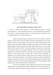 Karšto vandens tiekimas Šiaulių mieste 8 puslapis