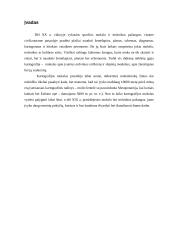 Kartografijos mokslo raida XIX-XX amžiuje 3 puslapis