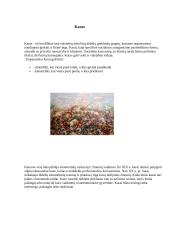 Karų priežastys 2 puslapis