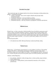 Karų priežastys 3 puslapis