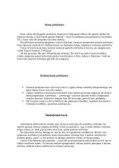 Karų priežastys 4 puslapis