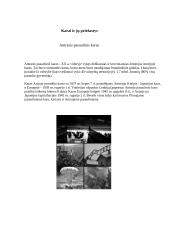 Karų priežastys 5 puslapis