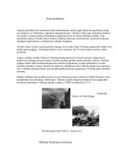 Karų priežastys 6 puslapis