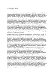 Kasdienybė ir kinas 4 puslapis