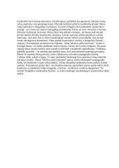 Kasdienybė ir kinas 5 puslapis