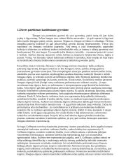 Kasdienybė ir kinas 6 puslapis