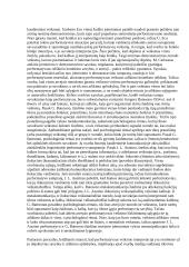 Kasdienybė ir kinas 8 puslapis