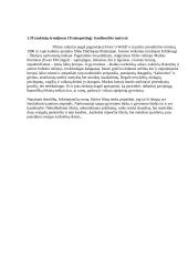 Kasdienybė ir kinas 10 puslapis