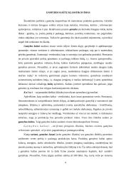 Ekonominiai kaštai 4 puslapis