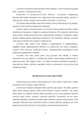 Ekonominiai kaštai 6 puslapis