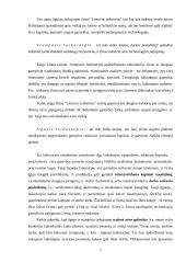 Ekonominiai kaštai 7 puslapis