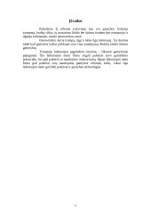 Kaštai trumpame ir ilgame laikotarpyje 11 puslapis