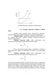 Kaštai trumpame ir ilgame laikotarpyje 6 puslapis