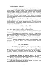 Kaštai trumpame ir ilgame laikotarpyje 9 puslapis