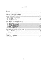 Kaštų terminai ir kaštų klasifikavimas 2 puslapis