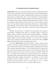 Kaštų terminai ir kaštų klasifikavimas 12 puslapis