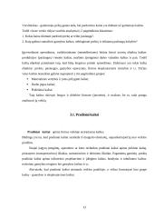 Kaštų terminai ir kaštų klasifikavimas 13 puslapis