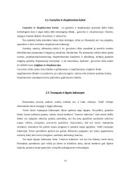 Kaštų terminai ir kaštų klasifikavimas 14 puslapis