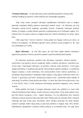 Kaštų terminai ir kaštų klasifikavimas 15 puslapis