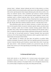 Kaštų terminai ir kaštų klasifikavimas 16 puslapis