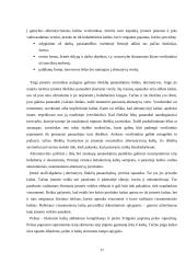 Kaštų terminai ir kaštų klasifikavimas 17 puslapis