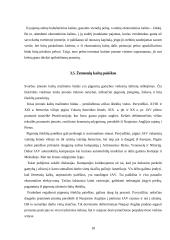 Kaštų terminai ir kaštų klasifikavimas 18 puslapis