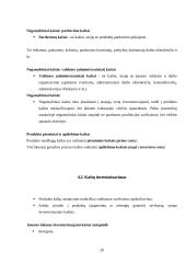 Kaštų terminai ir kaštų klasifikavimas 20 puslapis