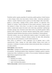 Kaštų terminai ir kaštų klasifikavimas 3 puslapis