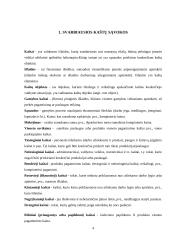 Kaštų terminai ir kaštų klasifikavimas 4 puslapis