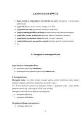 Kaštų terminai ir kaštų klasifikavimas 6 puslapis
