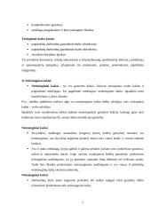 Kaštų terminai ir kaštų klasifikavimas 7 puslapis