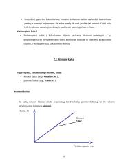 Kaštų terminai ir kaštų klasifikavimas 8 puslapis