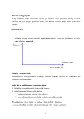 Kaštų terminai ir kaštų klasifikavimas 9 puslapis
