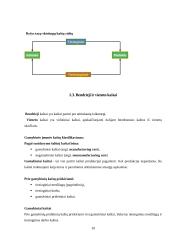Kaštų terminai ir kaštų klasifikavimas 10 puslapis