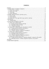 Kauno apskrities darbo rinkos palyginamoji analizė