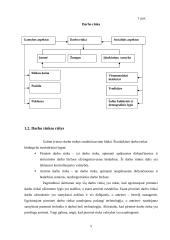 Kauno apskrities darbo rinkos palyginamoji analizė 5 puslapis