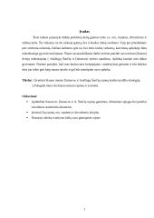 Kauno miesto Dainavos ir Aukštųjų Šančių rajonų kraštovaizdžio ekologinis įvertinimas 2 puslapis