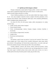 Kauno miesto Dainavos ir Aukštųjų Šančių rajonų kraštovaizdžio ekologinis įvertinimas 11 puslapis