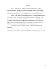 Kauno, kaip laikinosios sostinės kultūros akcentai