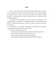 Kauno, kaip logistikos centro, galimybės 3 puslapis