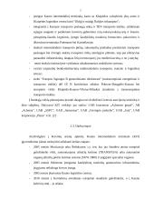 Kauno, kaip logistikos centro, galimybės 7 puslapis